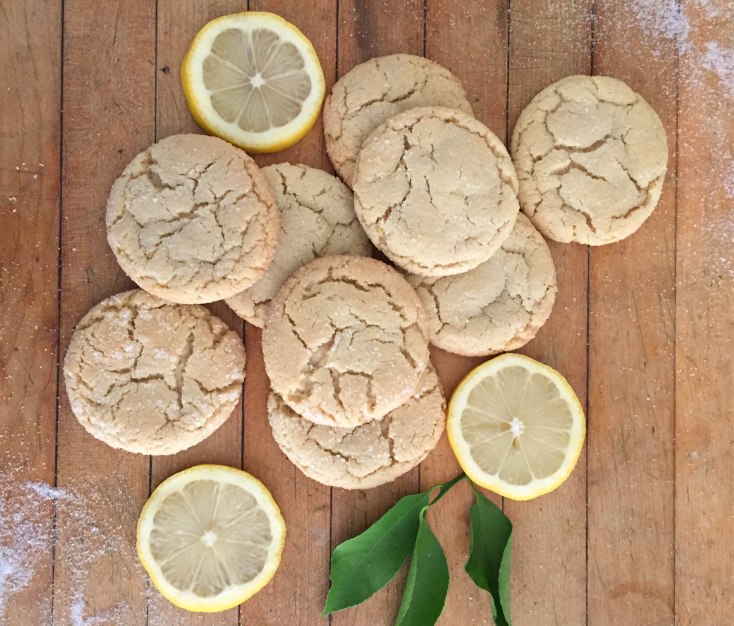 Zesty Lemon Cookies - a bag of flour