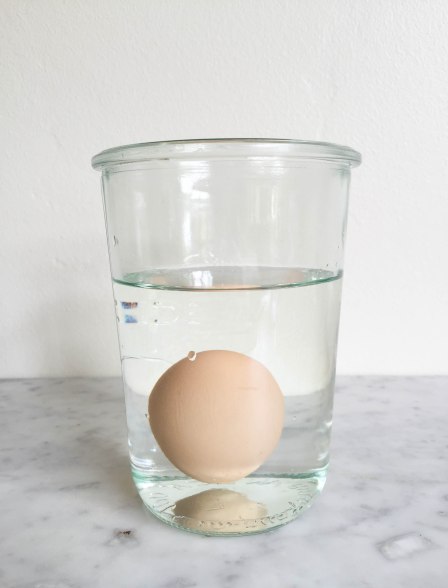 How to tell if eggs have gone bad - abagofflour.com 