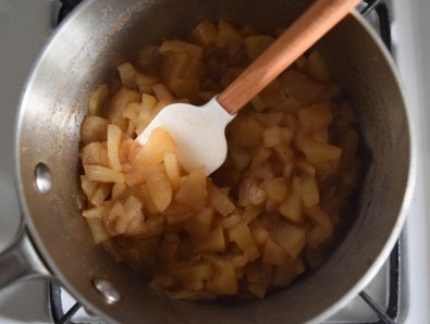 Apple Hand Pies - abagofflour.com